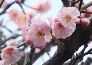 絆のワークショップの前に手漉き和紙体験