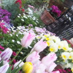 #絆と癒しCOMの動画3