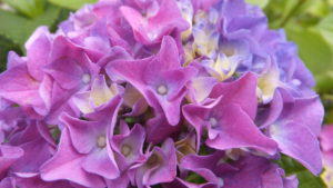 あなたを励ます本、『吃音を生きる』3