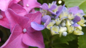 記憶の心理学をご存知ですか