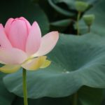 愚痴話の正しい聴き方とは？3