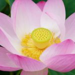 絆のワークショップ #11『愚痴話をいっぱい愚痴って、みんなですっきりしよう！！』