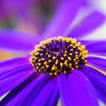 #絆と癒しCOMの動画17