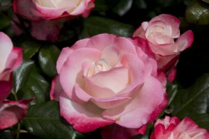 介護の知恵袋ー寒くなる前に