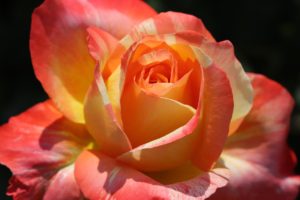 介護の知恵袋ー寒くなる前に