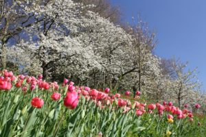 自宅待機中のストレス解消法は？