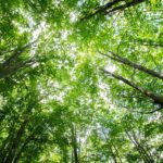 ＃絆と癒しCOMの動画46