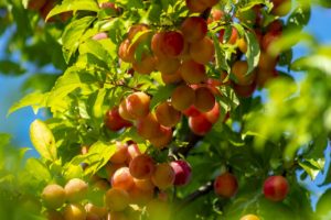 女性が主体的に生きないよう仕組まれた日本社会が元凶だった『母と娘はなぜ対立するのか』