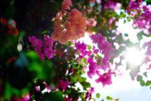 30.4％の60-70代女性が、来世では今の配偶者は嫌！