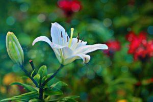 30.4％の60-70代女性が、来世では今の配偶者は嫌！