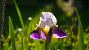 30.4％の60-70代女性が、来世では今の配偶者は嫌！