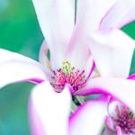 30.4％の60-70代女性が、来世では今の配偶者は嫌！