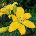 2000人の還暦人をアンケート調査！