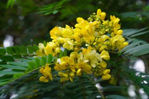 おじさん解読の手引書『50歳の衝撃』