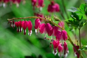 おじさん解読の手引書『50歳の衝撃』