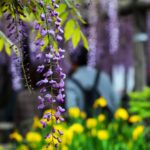 読んで楽しむ指圧・鍼灸・整体・マッサージetc・・・ジェーン・スーの『今夜もカネで解決だ』