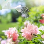 #絆と癒しCOMの動画108