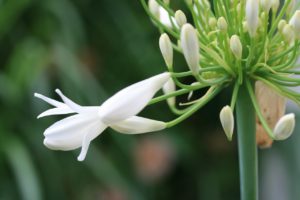 6/22現在、生理用品等を無償提供してくださるあなたの近くの公共機関をご紹介します！（千葉～長野編）