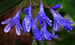 6/22現在、生理用品等を無償提供してくださるあなたの近くの公共機関をご紹介します！（千葉～長野編）