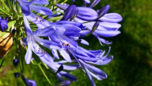 6/22現在、生理用品等を無償提供してくださるあなたの近くの公共機関をご紹介します！（千葉～長野編）