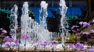 パートナーのいる人の約4人に1人がパートナーと一緒に運動しており、一緒に運動することで、年齢を重ねても仲が良いと実感できると判明！