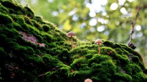 お子さん等の不登校やひきこもりに悩んでいるあなたへ、当事者と当事者家族の体験談が参考になる『生きづらさの生き方ガイド』