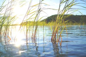 【#オーダーメードプチ動画】湖の夕暮れ写真にオーボエとフルートの響きが美しい#お礼の#プチ動画はいかがですか？「絆のプチ動画#35」