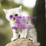 気持ちを聞いてくれる人が誰もいないと感じているあなたに、相談窓口を紹介します