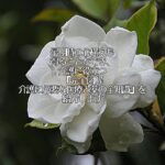 最期時の心構えも得ることができ、介護に役立つ『完全図解　介護に必要な医療と薬の全知識』を紹介します