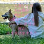 一人暮らしのお母様が倒れたら, 可愛がっているペットの世話は誰が引き受けます？