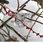 約8万人の70代を調査して、認知機能に関する3つの質問で、要介護認定のリスクを予測できると判明！