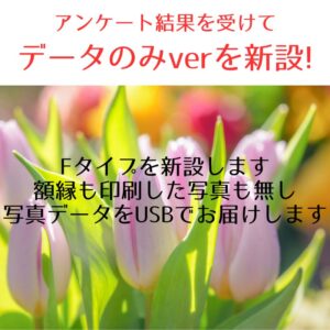 アンケート結果を受けて、「絆の絵Ⅱ」の値下げとデータのみバージョンを新しく作りました!