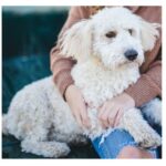 幸せの作り方　～日頃の小さな喜びや感謝を積み立てしましょう～vol.3