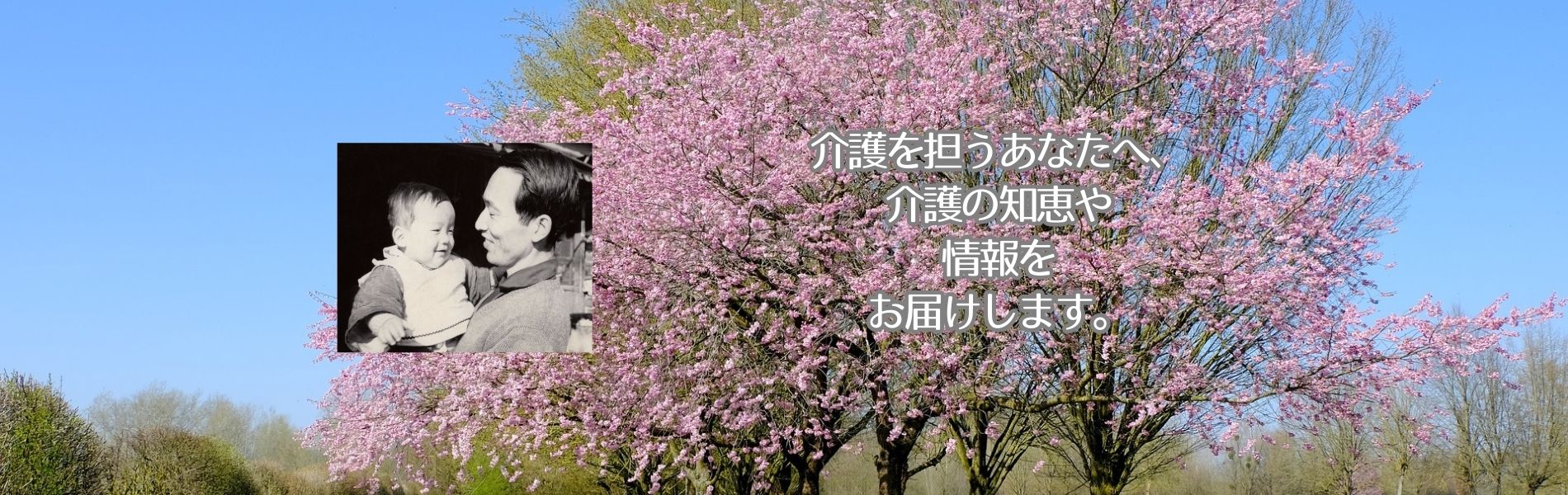介護を担うあなたへ、介護の知恵は情報をお届けします。