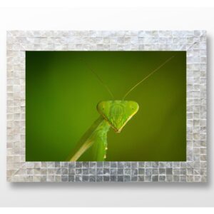 幸せの作り方　～日頃の小さな喜びや感謝を積み立てしましょう～　vol.22