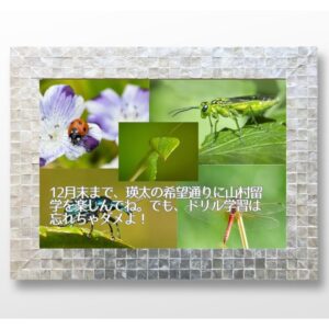 幸せの作り方　～日頃の小さな喜びや感謝を積み立てしましょう～　vol.22