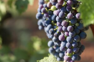 漢方の認知症治療は、BPSDの改善だけではなく、その人がその人らしい生活をしっかり長い間送ることができること！