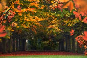 漢方薬なら、認知症の不眠・せん妄・興奮・暴力・暴言・幻覚・食欲低下やだるさなどを治療できます！(前編)