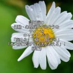 認知症の行動・心理症状が出そうなサインをキャッチしたら、「褒める」「優しく接する」「本人が納得する方法を考える」！(後編)