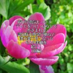 夜中に電気もつけず、テレビをつけっぱなしで歩きまわる認知症の異常行動など、漢方薬で良くなった6人の実例を紹介！(前編)