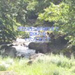 7月29日～8月4日まで夏休みをいただきます