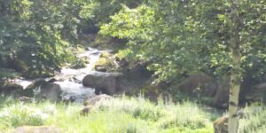 7月29日～8月4日まで夏休みをいただきます