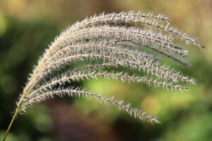 5人に1人は認知症になるらしいから、認知症疾患医療センターで検査を受けよう！(2/3)