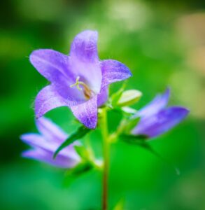 5人に1人は認知症になるらしいから、認知症疾患医療センターで検査を受けよう！(2/3)