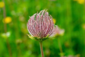 5人に1人は認知症になるらしいから、認知症疾患医療センターで検査を受けよう！(3/3)