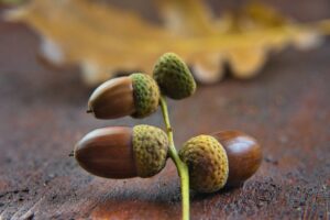 5人に1人は認知症になるらしいから、認知症疾患医療センターで検査を受けよう！(続)(2/7)