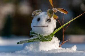 残業過多でフルタイム勤務の娘と75歳の母の2人暮らしで介護保険の家事ヘルパーは頼めますか？(前編)