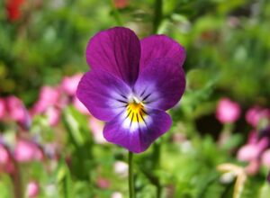 施設や介護サービス事業者からの虐待を疑って相談・通報したい時の公的窓口を紹介します！