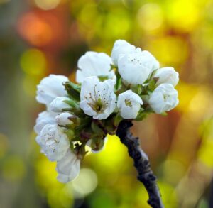 苦しんでいる介護者と怯えてるお年寄りがより良く暮らせる方法を探すために、地域包括支援センターに相談しましょう！(前編)