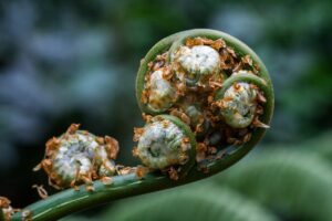 苦しんでいる介護者と怯えてるお年寄りがより良く暮らせる方法を探すために、地域包括支援センターに相談しましょう！(前編)